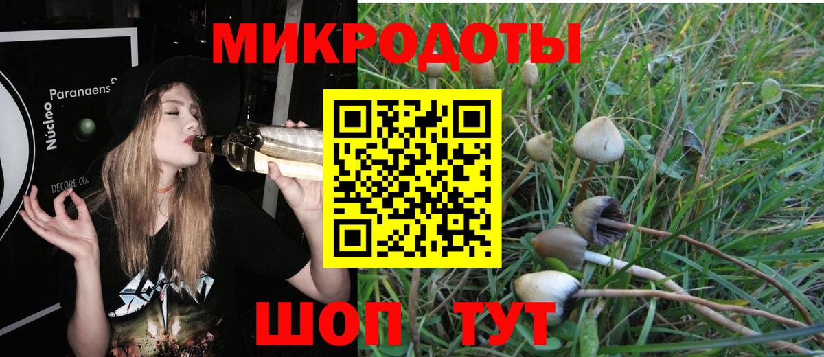 Псилоцибиновые грибы ЛСД  Псилоцибиновые грибы Magic Shrooms  даркнет сайт  Вход с VPN  Бузулук 