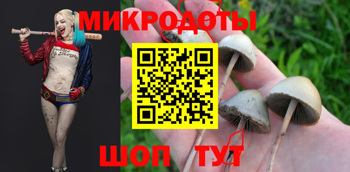 Галлюциногенные грибы мухоморы Бузулук
